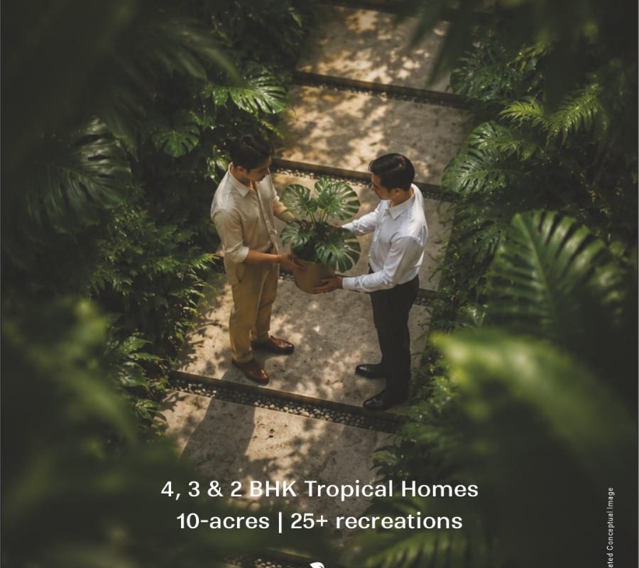 A tropical courtyard handover moment, conceptual image